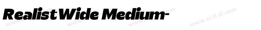 RealistWide Medium字体转换